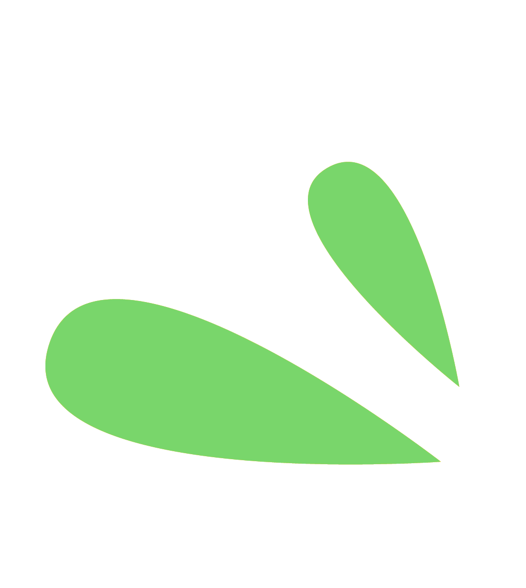 GENERATION1525-Motif-separes-01-1 VERT
