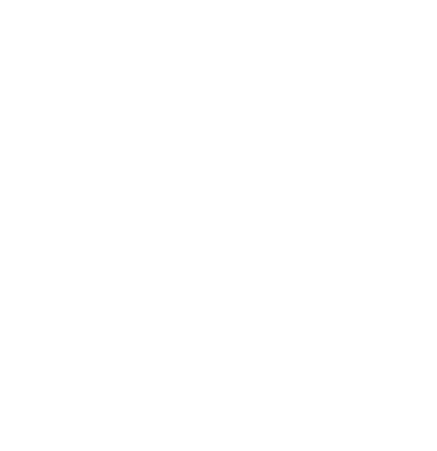 Siteweb-Generation1525-Elementsgraphiques-05